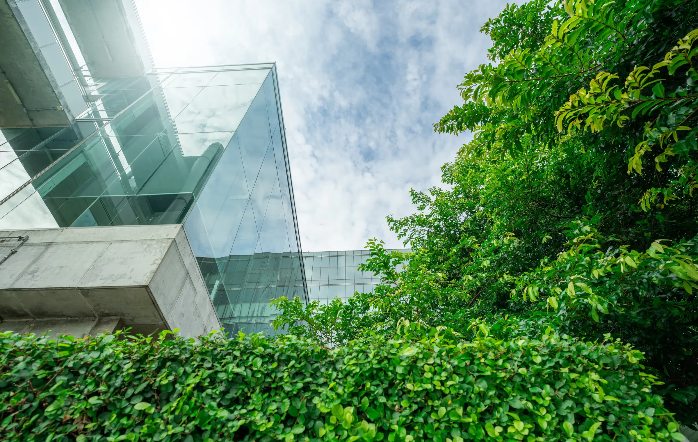 Green Office Building