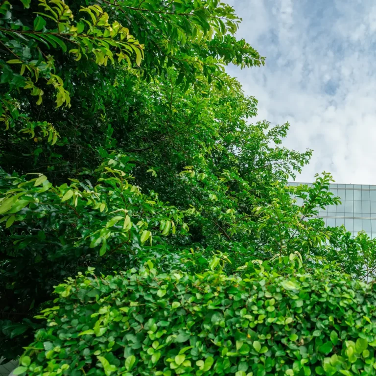 Green Office Building