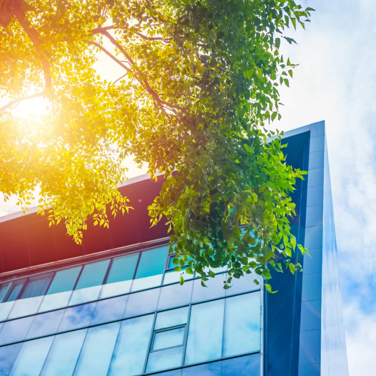 Energy Compliance