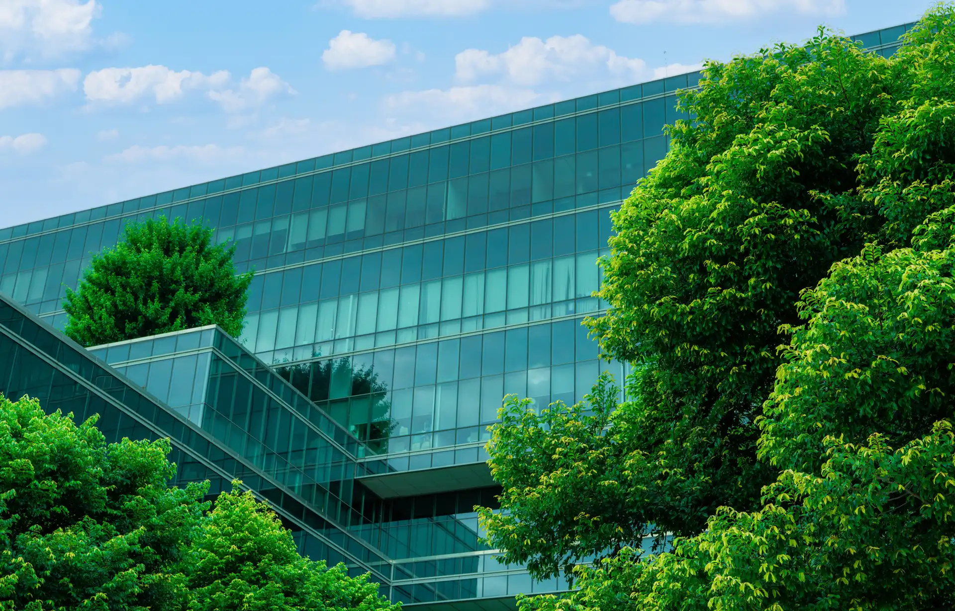Energy Usage Reduction