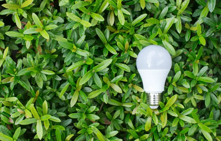 LED Lighting