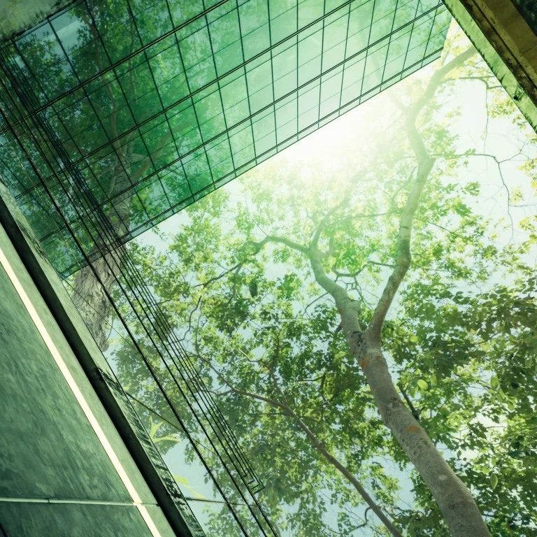 Sustainable Green Building