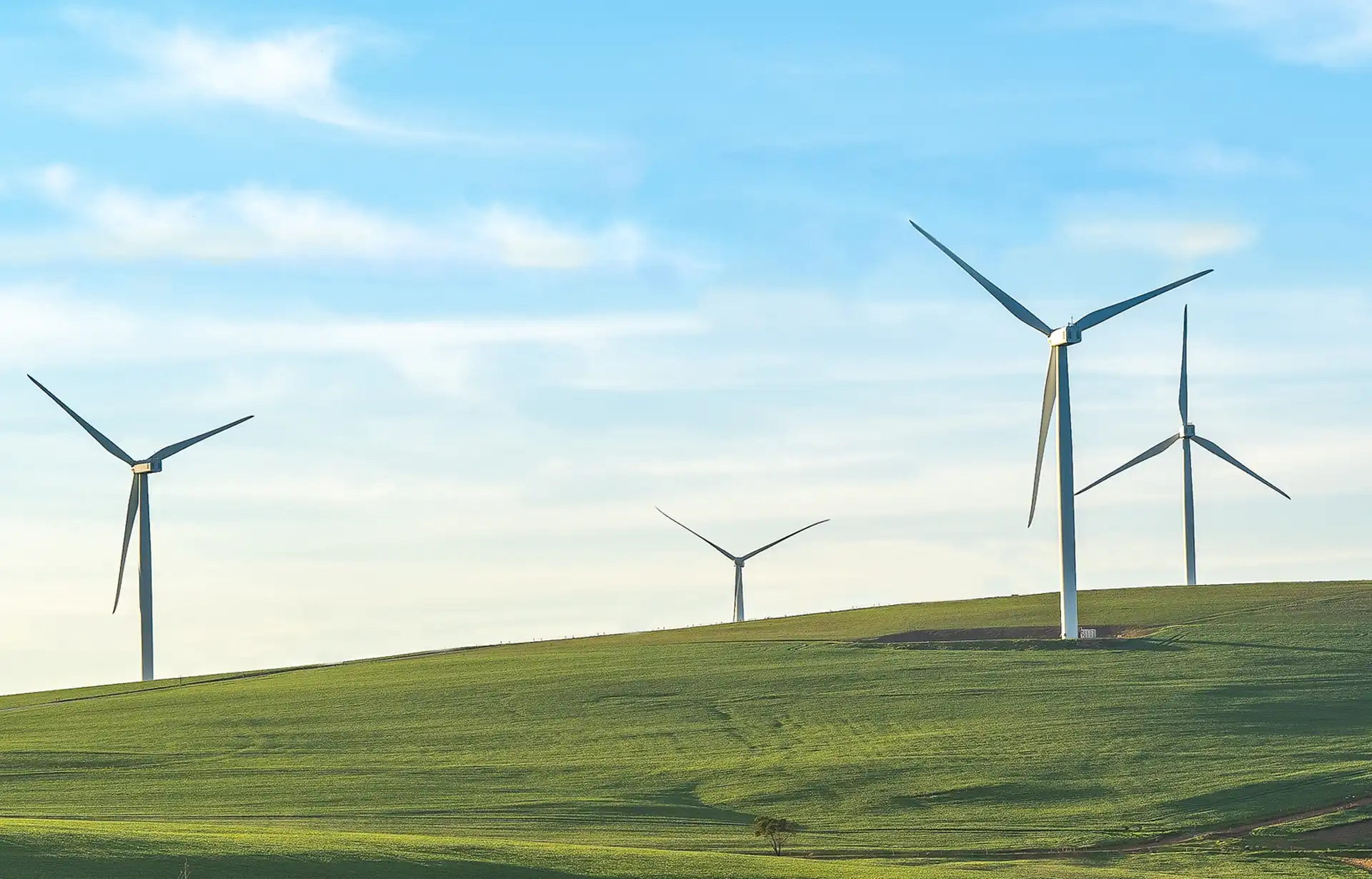 Renewable Energy